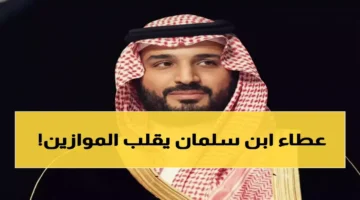 ولي العهد محمد بن سلمان يشرف على 330 مليون عملية تبرع محققة